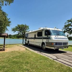 Meet your Posher, Bunny